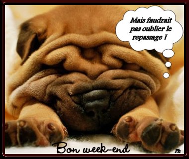 BON WEEK END A VOUS