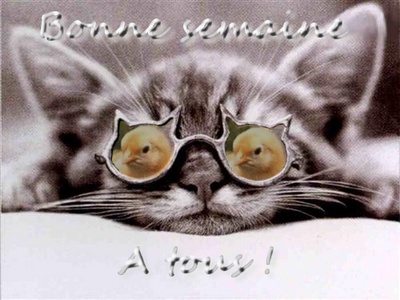 BONNE SEMAINE A VOUS