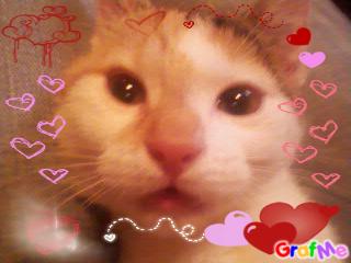BON WEEK END A VOUS 